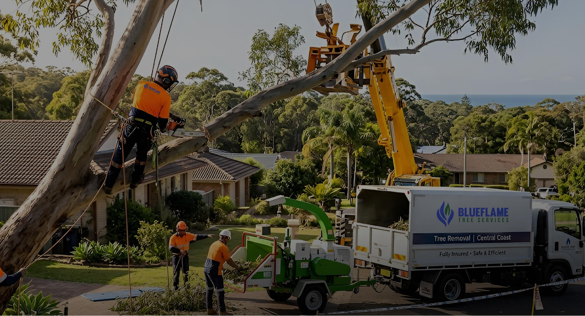 Read more about the article Can You Remove a Tree Close to a House 2?