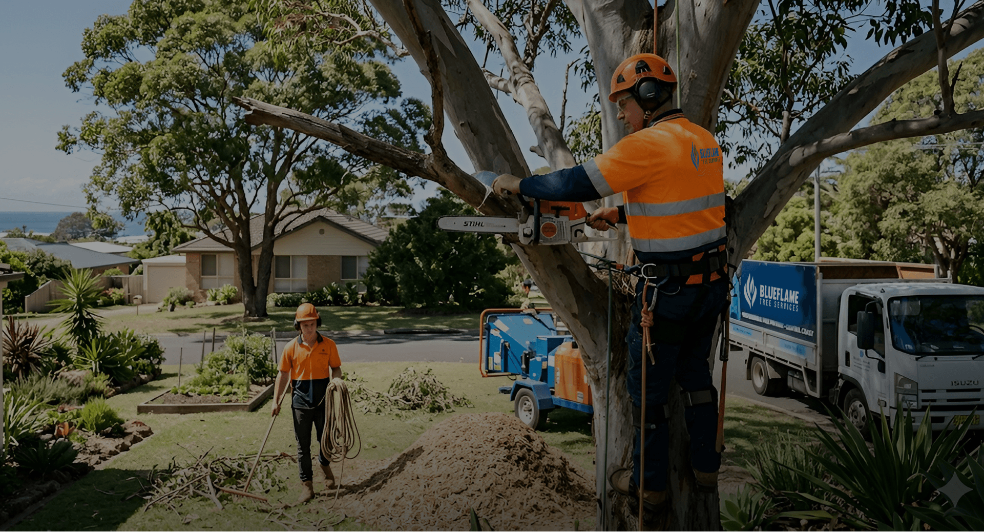 Read more about the article How professionals remove trees near houses